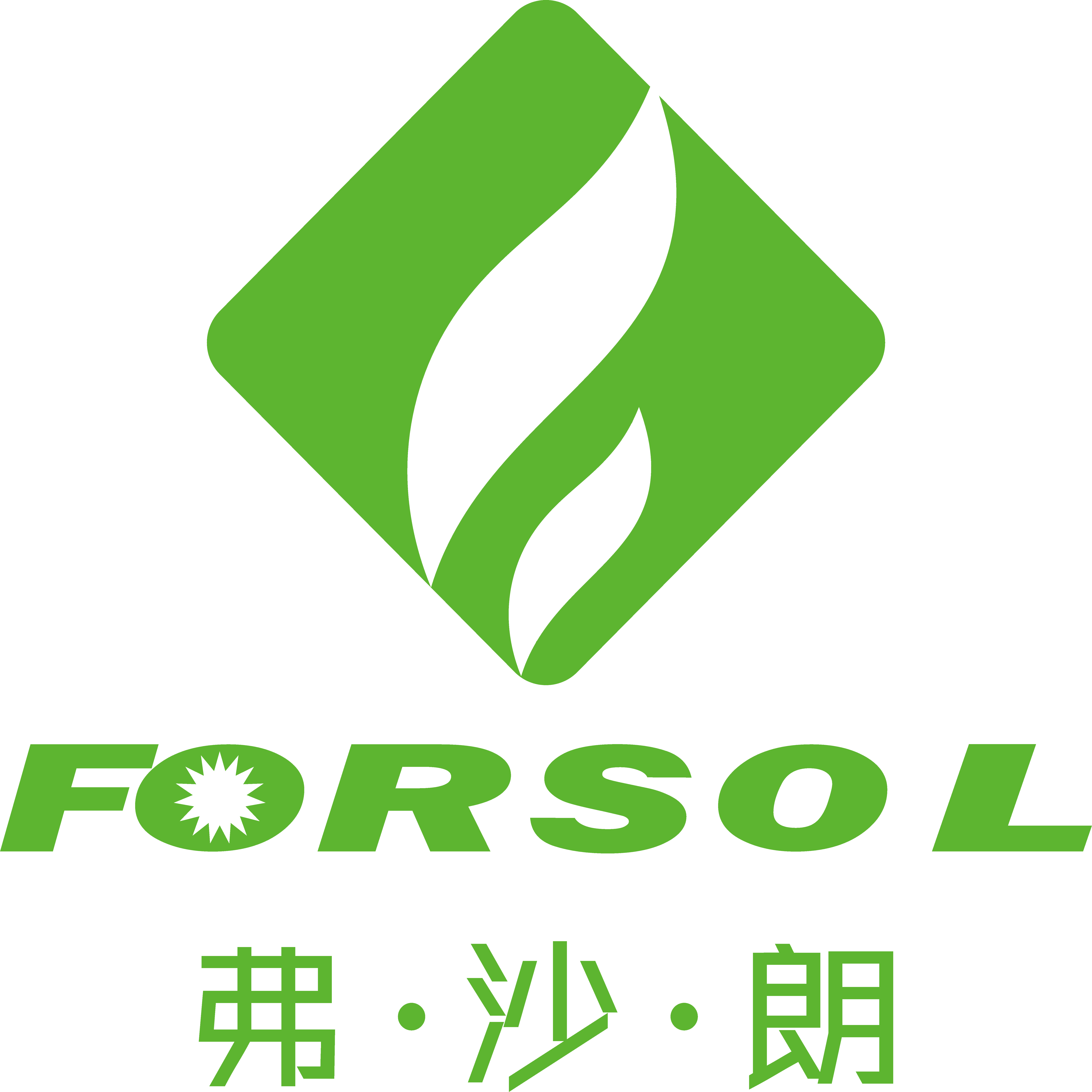 浙江弗沙朗能源股份有限公司